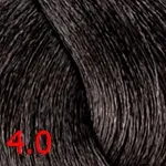 4.0 каштан 4.0 каштан